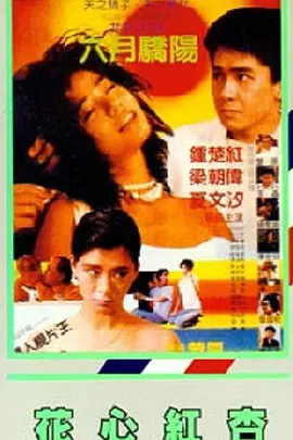 91资源视频