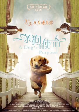 五月天婷婷一区二区三区久久