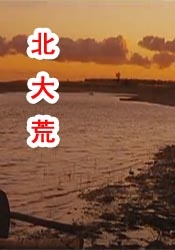 97青青草原国产免费观看