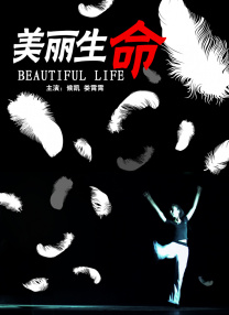 合体逍遥阴阳双修决