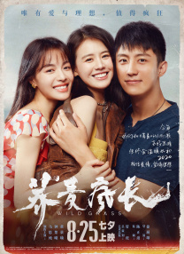 欧美视频久久