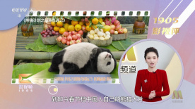 中文av在线播放